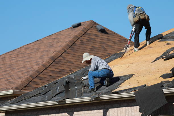 Best Asphalt Shingle Roofing  in Barberton, WA